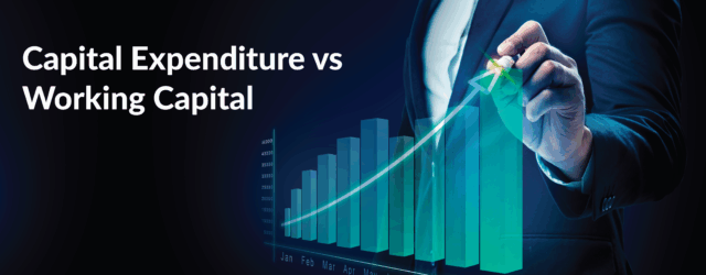 Capital Expenditure vs Working Capital scaled