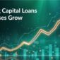 How Working Capital Loans Help Businesses Grow